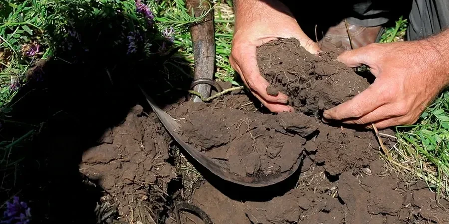 Illustrative image of Organic soil management in Cincinnati